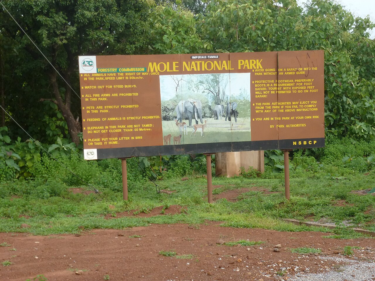 Mole National Park