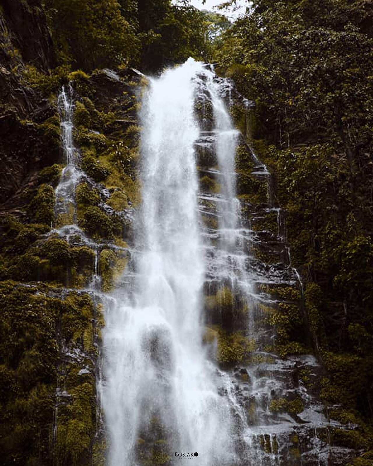 Wli Waterfalls